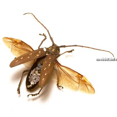 steampunk cyborg insects