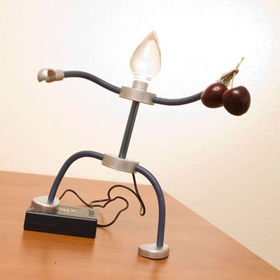 Moppels lamps