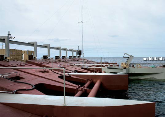 Poseidon 37