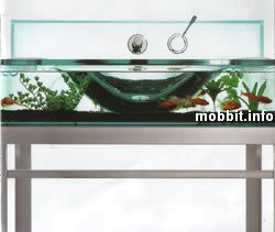 Moody Acquario