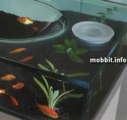 Moody Acquario