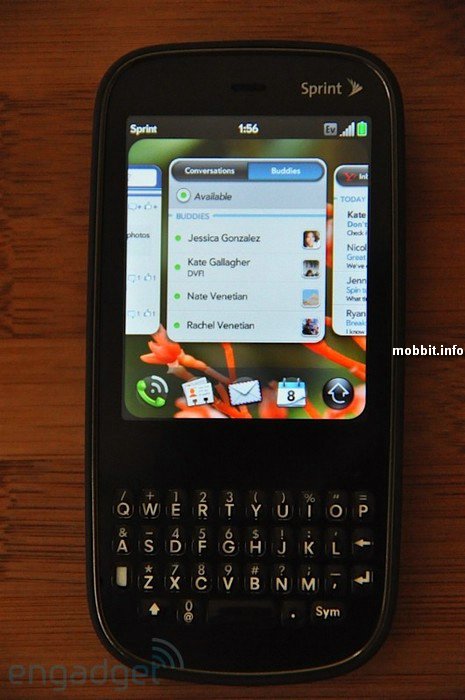 Palm Pixi