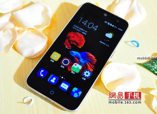 ZTE Small Fresh 3