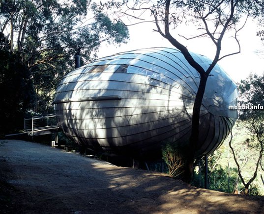 Cocoon
