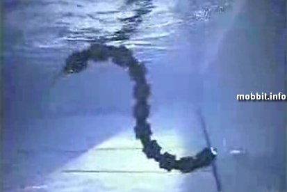 robosnake