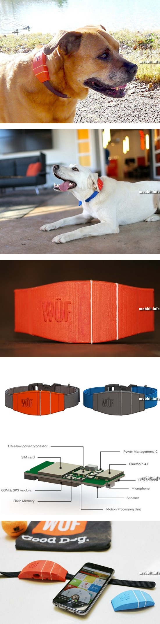 W&#220;F